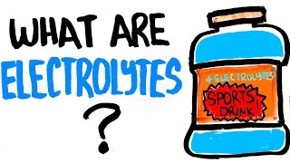 Why You Need Electrolytes  Can It Help With Getting Stronger [upl. by Kcirdet]