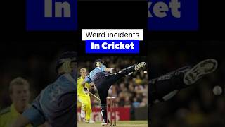 Weird incidents in cricket cricket weird shorts [upl. by Bugbee]