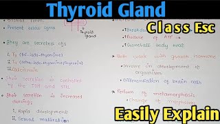 Thyroid Gland Hormones Structure And Functions  Class 12 Biology [upl. by Rothmuller]