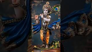 amar nitai chand er dorbare mayapur love hindugod kolkata song radhakrishna video yt short [upl. by Hayden]