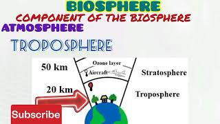 BIOSPHERE [upl. by Hobard]