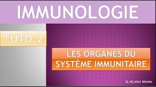 IMMUNOLOGIE 3 TUTO 2 Les organes du système immunitaire [upl. by Attolrac]