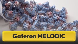 Switches clicky suaves review Gateron Melodic [upl. by Oirretna126]