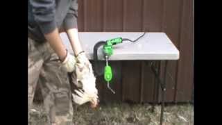 The Power Plucker Drill Powered Chicken Plucker [upl. by Aelegna]