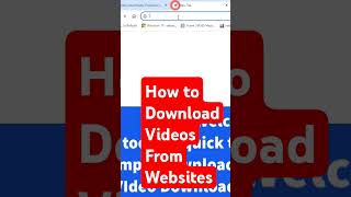 How to Download Videos from a website with Video Downloader Professional extension [upl. by Fates]