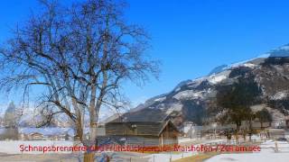 MaishofenSchnapsbrennerei Mitteregger Pension MaishofenZell am See Austria [upl. by Llehsyar]