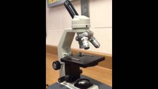 Parts amp Functions of Microscope [upl. by Enhpad]