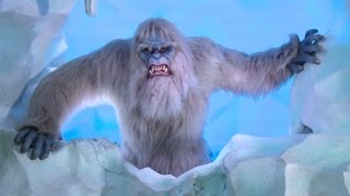 New Yeti animatronic amp effects on Matterhorn Bobsleds at Disneyland [upl. by Bara193]