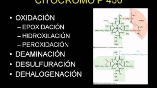 METABOLISMO DE LOS MEDICAMENTOSwmv [upl. by Magbie]