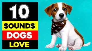 10 Sounds Dogs Love To Hear The Most GUARANTEED [upl. by Nadaha]