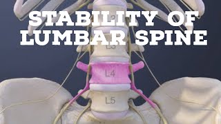 Stability of lumbar spine [upl. by Kolnos]