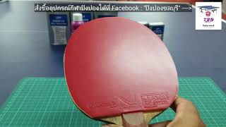 Mizutani Jun Super zlc × Rakza ZZ extra hard  729 Glue Water  Solubility Bond  PingpongThaibaan [upl. by Anselm]