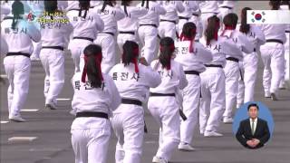 제65주년 국군의날 행사6특전사 태권도 시범 Taekwondo by KOREA ARMY HD [upl. by Ardiedal]