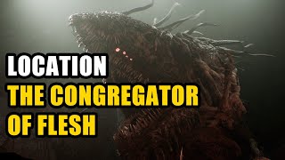 The Congregator of Flesh Location Lords of the Fallen [upl. by Hawger]