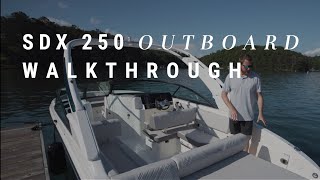 SDX 250 Outboard  Product Walkthrough  Sea Ray Boats [upl. by Einnahpets]