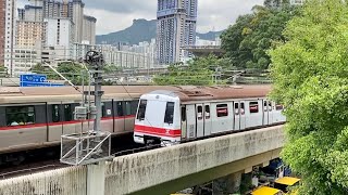 港鐵45周年主題列車 復古白頭 M Train A161A162 駛出九龍灣隧道口 [upl. by Nuris]