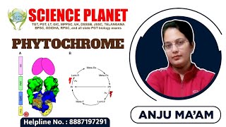 PHYTOCHROME II BY ANJU MAM II SCIENCE PLANET II [upl. by Nogas]