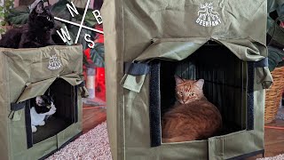 DEERFAMY Heated Cat House  Unboxing amp Review [upl. by Gothar547]