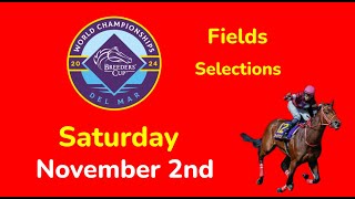 Breeders Cup Saturday 11224 Fields amp Selections  Full Card [upl. by Rhody]