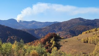 Poiana Marului culori de toamna si adrenalina [upl. by Euginimod]