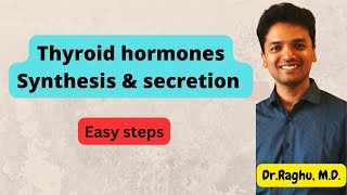 Endocrinology  Synthesis amp secretion of Thyroid hormones  mbbs [upl. by Hoeg]