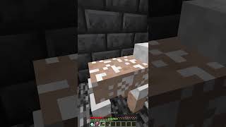 How To Escape Lucky Trap Moment shorts minecraft meme [upl. by Ahseya933]