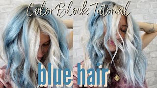 BLUE HAIRCOLOR BLOCK TUTORIAL  Wholy Hair [upl. by Rabjohn]