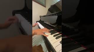 duvet boa piano cover [upl. by Eiruam8]