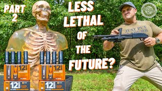 How Lethal Are Less Lethal Rounds  Part 2 [upl. by Salita]