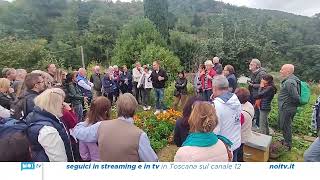 Un viaggio nella botanica con Marco Pardini nelle terre di Fosciandora [upl. by Anaahs]