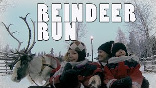 Reindeer Sleigh Ride  Santas Home Lapland [upl. by Rica]