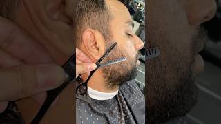 Pointed Beard Cut Styles adi beard skincare barber [upl. by Daryn]