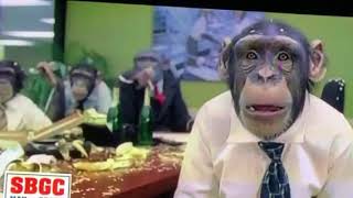 Monkeys Super Bowl Commercial 2006 [upl. by Refanej602]