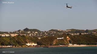 20241111 Wellington Timelapse Camera [upl. by Jared]