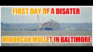 MV Dali and Bridge Collapse Report from Baltimore Environmental Cleanup Begins [upl. by Yelah844]