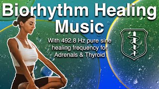 49280 Hz Adrenals amp Thyroid Organ Health Meditation Spiritual Healing Solfeggio and ASMR [upl. by Omrellig]