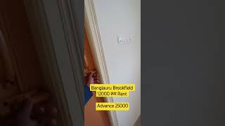 12000 का रूम Banglauru 1 BHK ka bangalorevenuvlogs room brookfield [upl. by Ellenwahs]