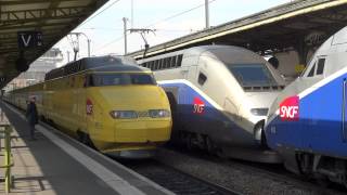 TGV cargo Euro Carex à Paris gare de Lyon [upl. by Ricker]