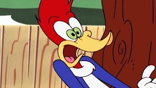 Woody Woodpecker Show  Nice and Quiet  Full Episode  Kids Cartoons  Videos For Kids [upl. by Ahsenar]