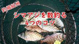 【海上釣堀】シマアジを複数ゲット！「シマアジを数釣る4つのコツ」を紹介in釣堀紀州 [upl. by Suhploda]