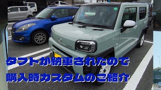 タフトが納車されたので購入時カスタムのご紹介 [upl. by Sheya370]