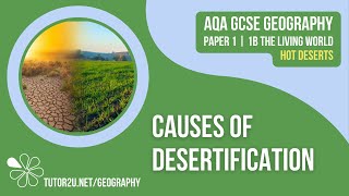 Causes of Desertification  AQA GCSE Geography  Hot Deserts 8 [upl. by Kallman]