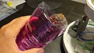 Gnat amp Fruit fly catcher Simple how to make video Dont pay 1000sthis method is free enjoy [upl. by Fineberg]