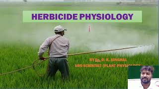 Herbicide Physiology [upl. by Averil]