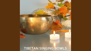 Tibetan Bowls Meditation [upl. by Mirisola]