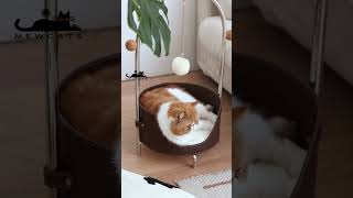 JCAT Luxury Cat Basket Bed Furniture😸 cat catbed catfurniture catdecor [upl. by Nwahsirhc318]