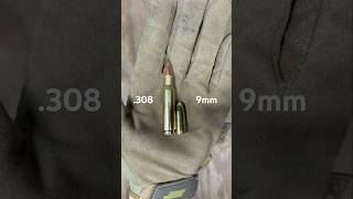 9mm vs 308 Win Size Comparison [upl. by Waddington216]