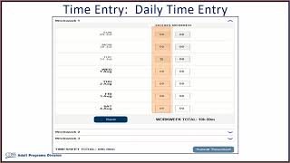 Time Entry for Providers [upl. by Klemens]