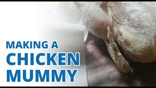 Making a Chicken Mummy The Mummy Mystery Lab [upl. by Keldah]