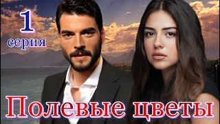 Полевые цветы 1 серия на русском языке Новый турецкий сериал с Акын Акынёзю и Аслыхан Мальбора [upl. by Malina546]